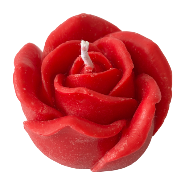 Lotus Candle