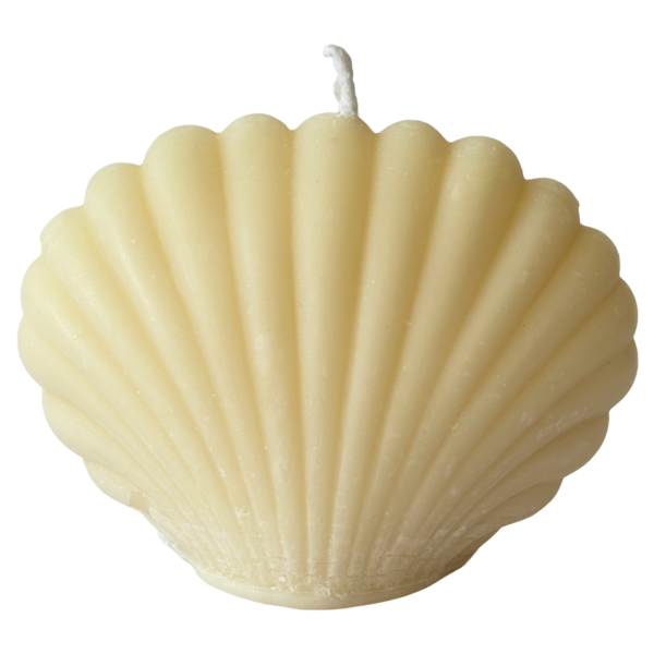 Sea Shell Candle - Image 6
