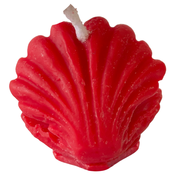 Sea Shell Candle - Image 4